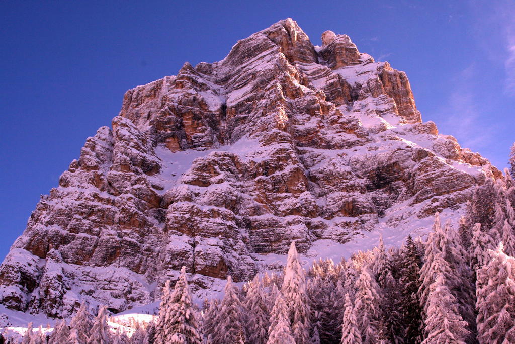 מלון Zoldo Alto Rifugio Passo Staulanza מראה חיצוני תמונה